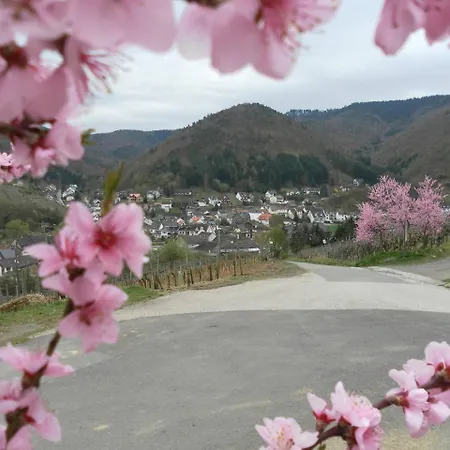 Burgblick - Ahrtal 度假居 *